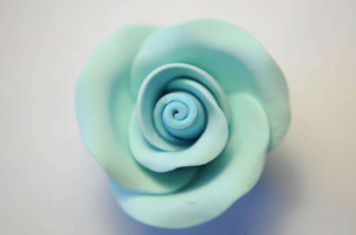 Gumpaste Roses - Blue